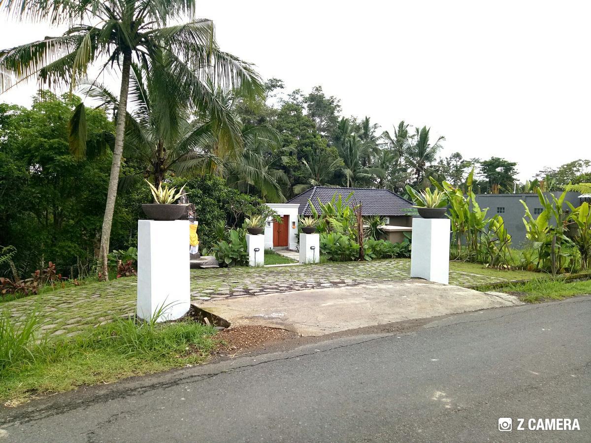 Villa Amara Giri I à Ubud Extérieur photo