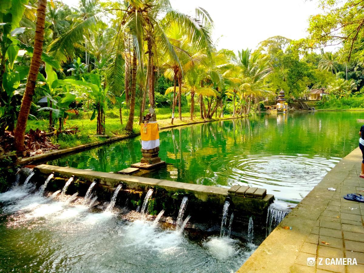 Villa Amara Giri I à Ubud Extérieur photo