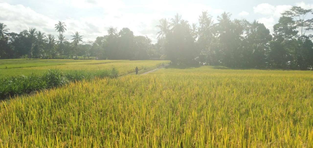 Villa Amara Giri I à Ubud Extérieur photo